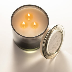 Blackberry Absinthe, Statement Glass Candle | ILLUME