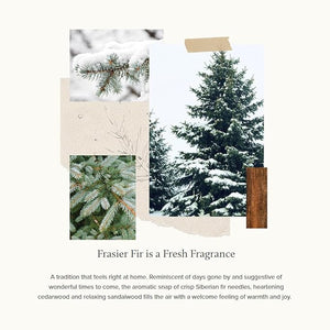 Medium Statement Candle, Frasier Fir 20 oz