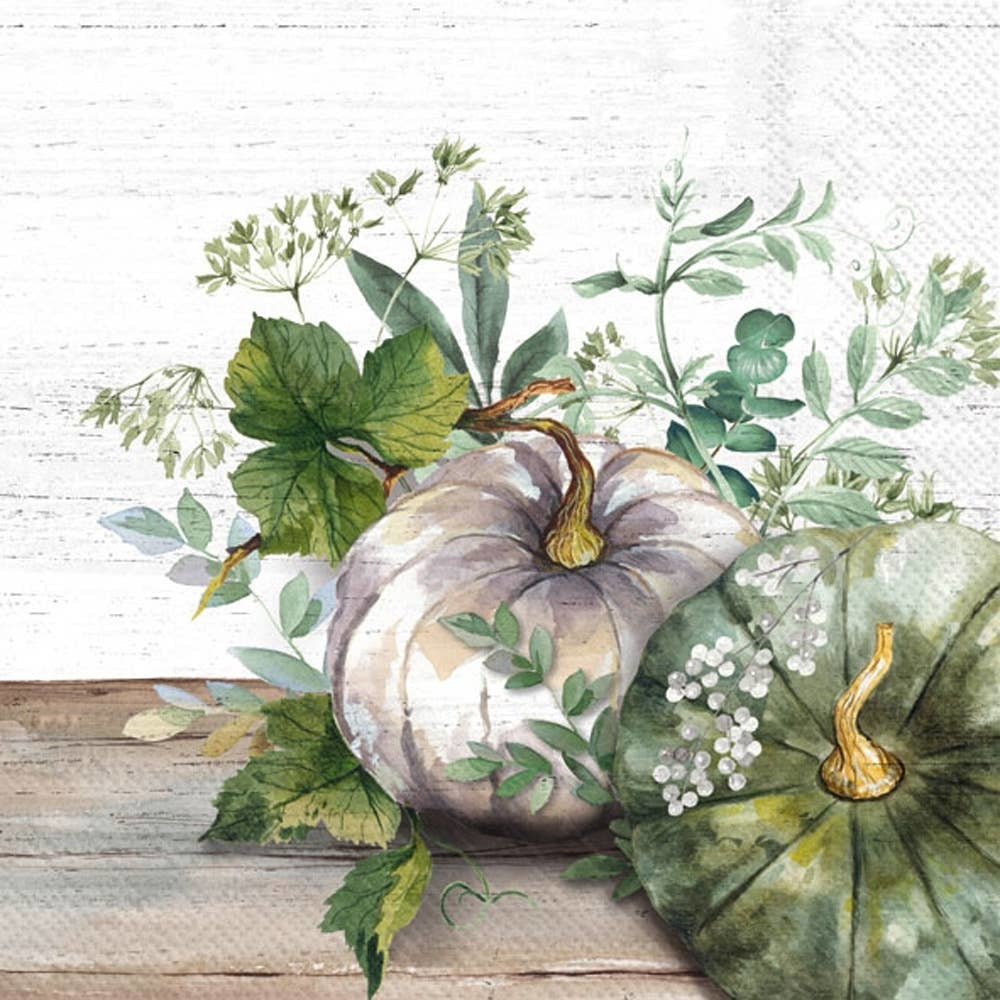 Green & White Pumpkin Fall Autumn, Paper Cocktail Napkin 20Ct | Boston International