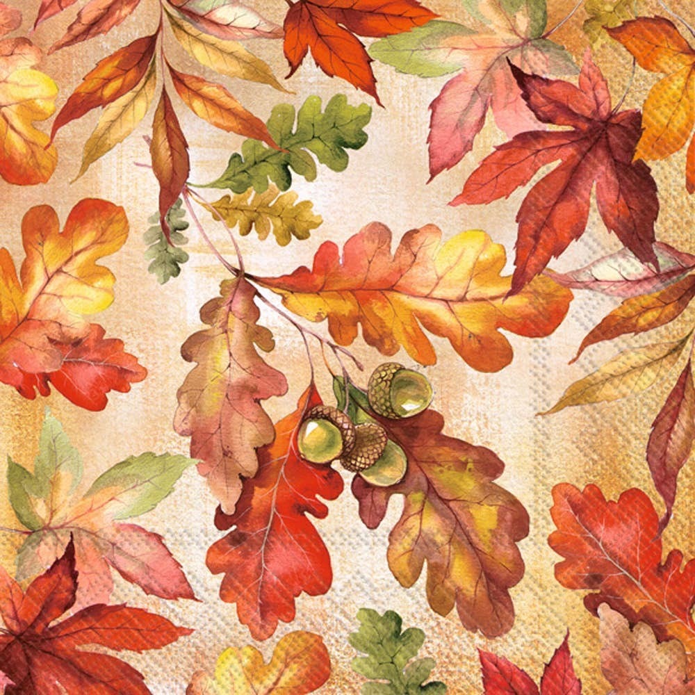 Bright Autumn Fall Autumn, Paper Lunch Napkins 20 Count | Boston International