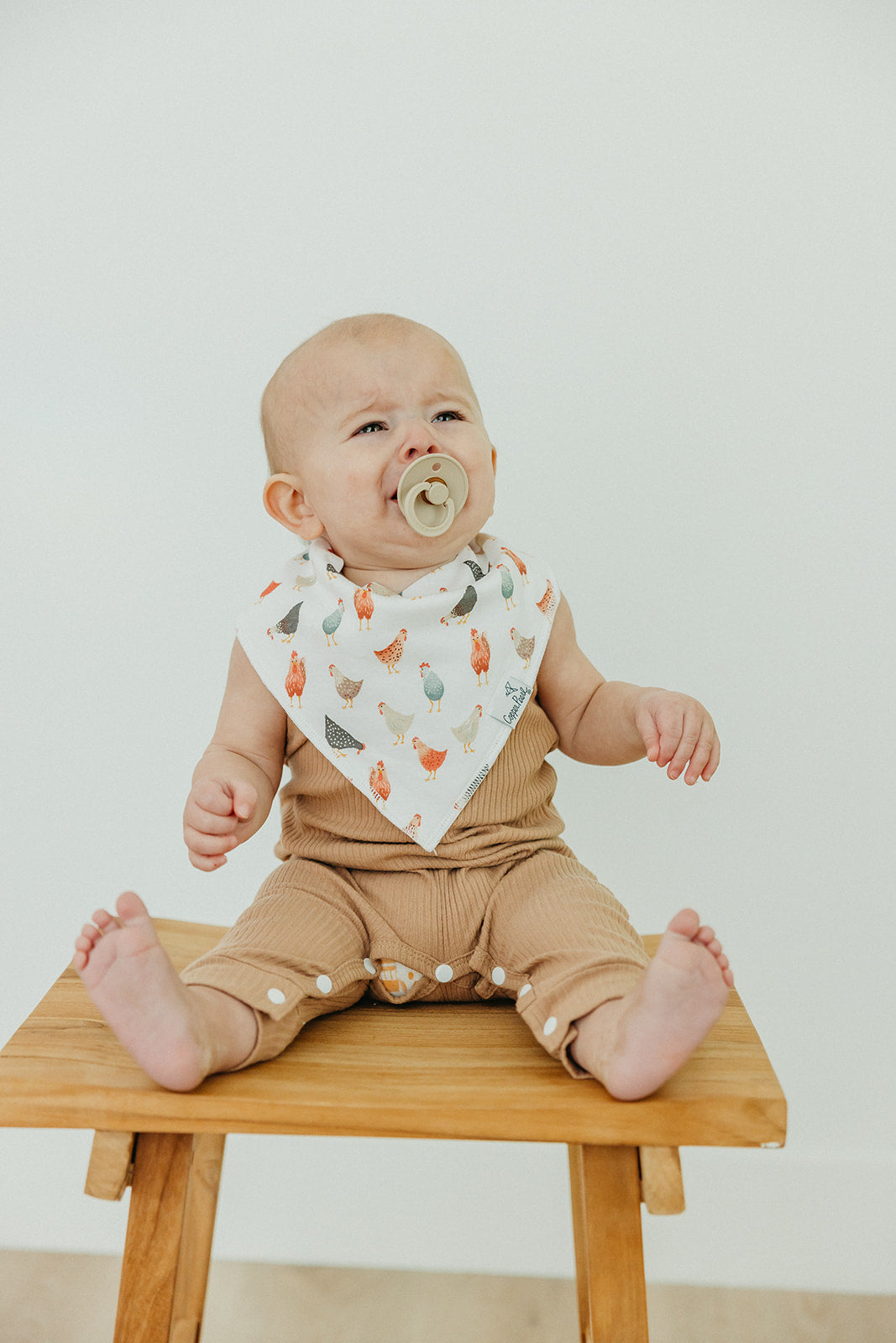 Bandana Bibs, Farmstead | Copper Pearl