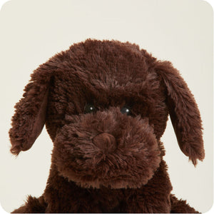 Warmies 13" Chocolate Labrador