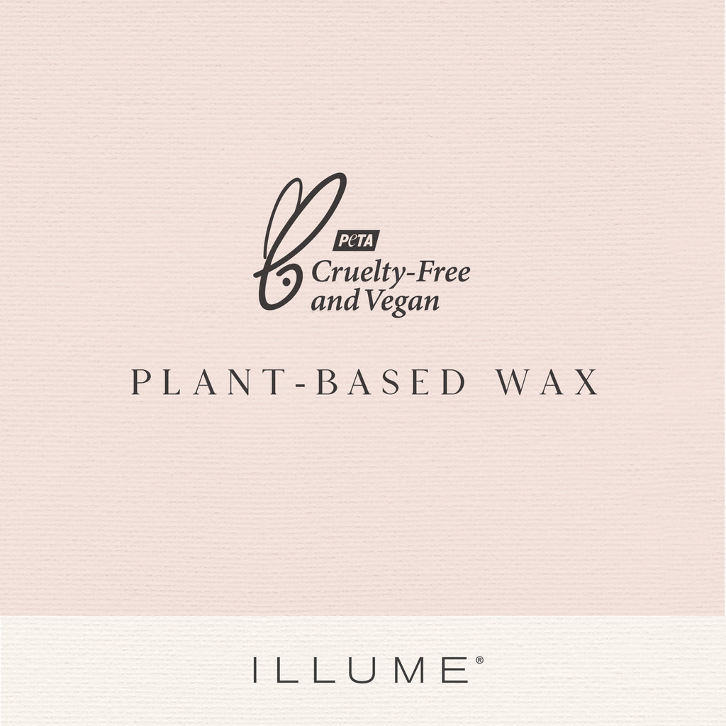 Tin Candle, Paloma Petal | ILLUME