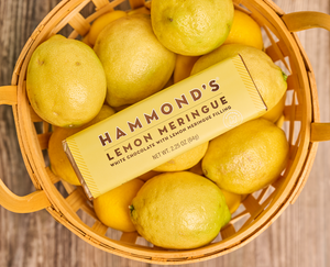 Lemon Meringue, White Chocolate Candy Bar | Hammond's