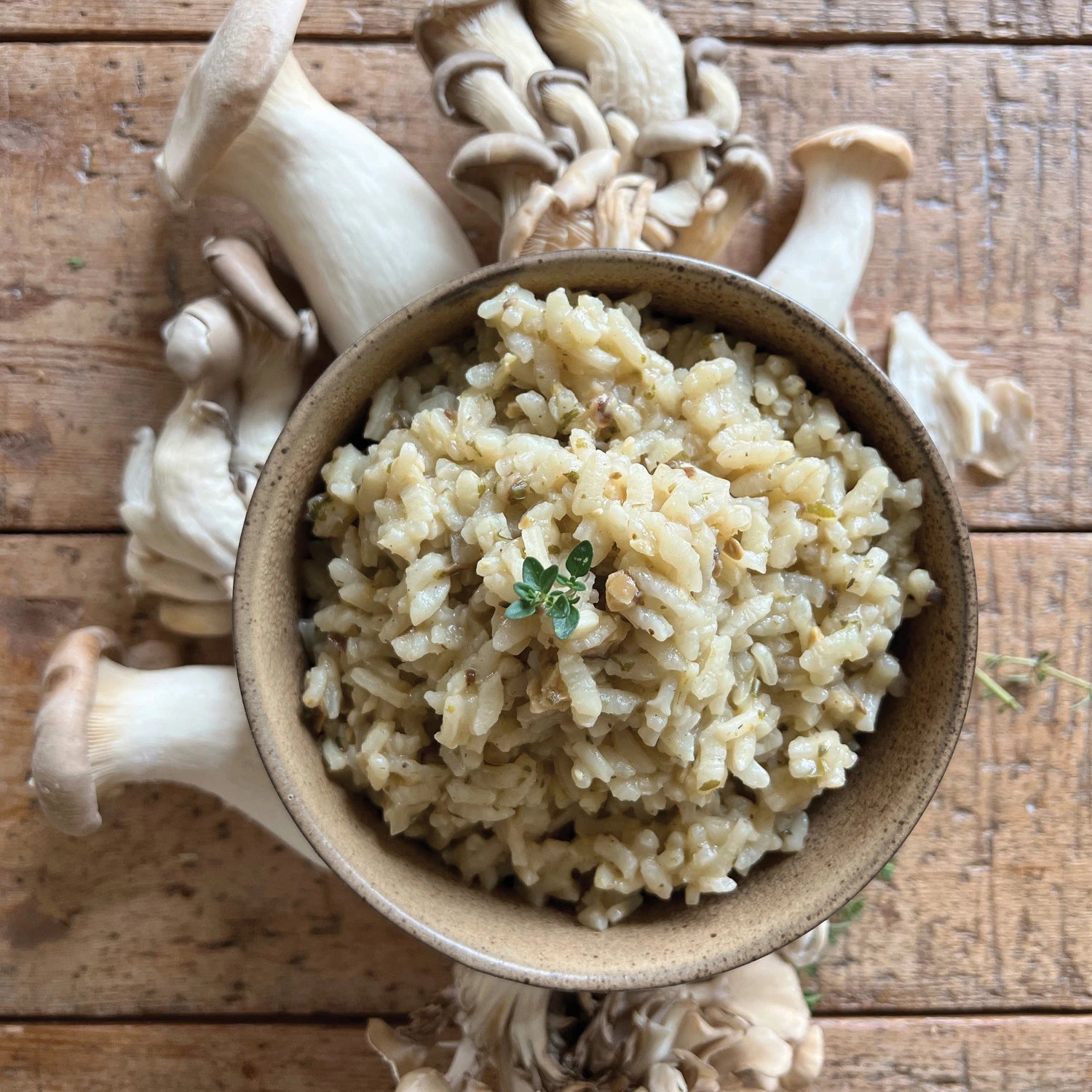 Porcini Mushroom Risotto | Finch + Fennel