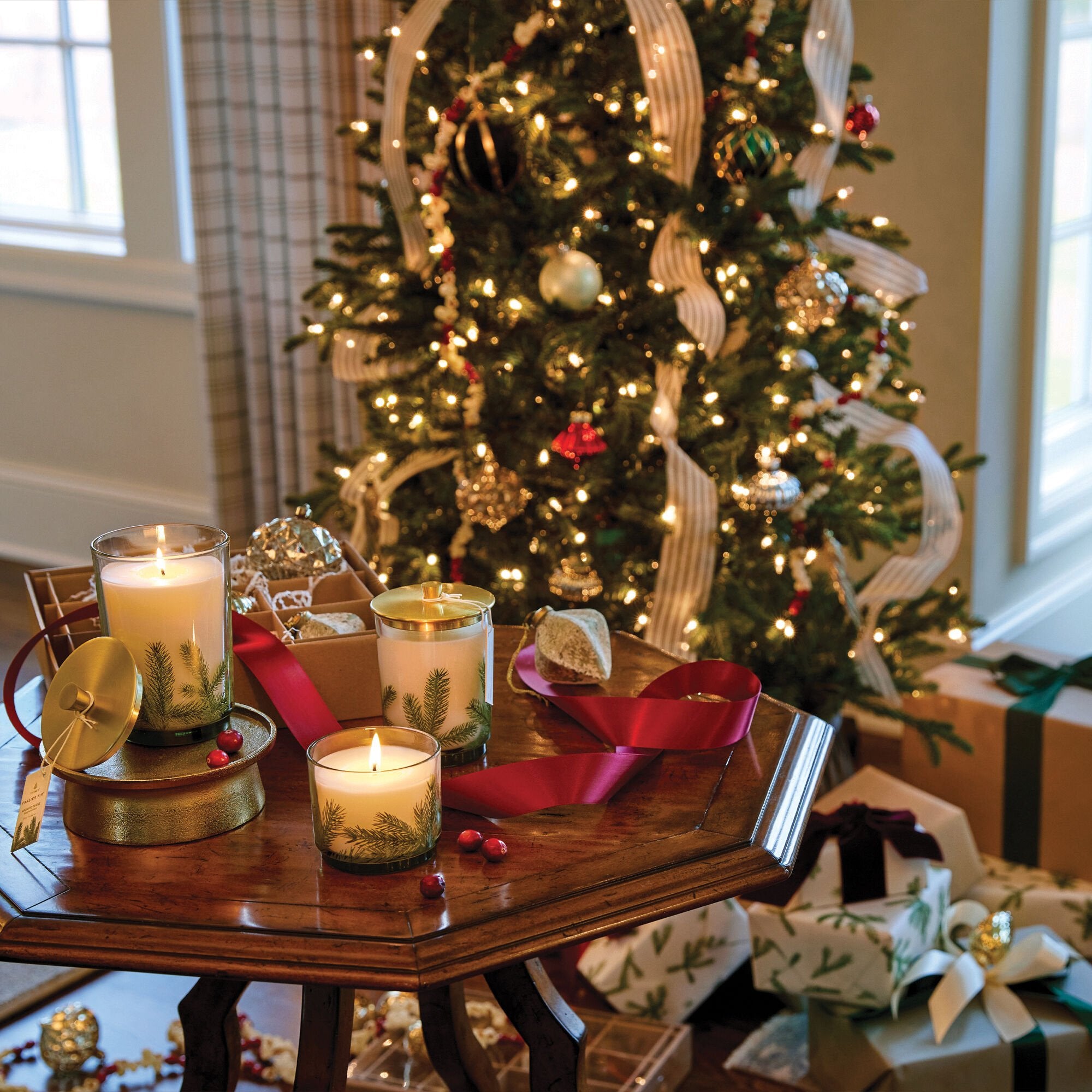 Pine Needle Luminary, Medium | Frasier Fir