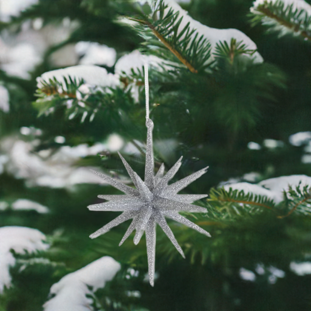 Glitter Star Ornament, 6", Silver | Holiday & Christmas Ornaments