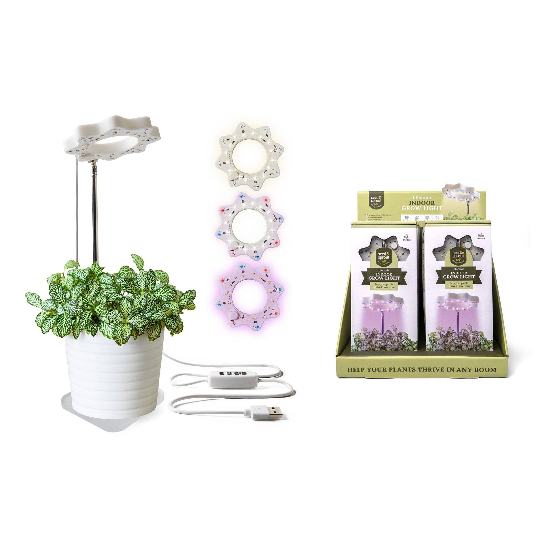grow lights for succulent plants Seed N Sprout Bloomie Indoor Grow Light