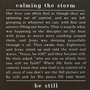 He Calms the Storm Necklace / Dear Heart