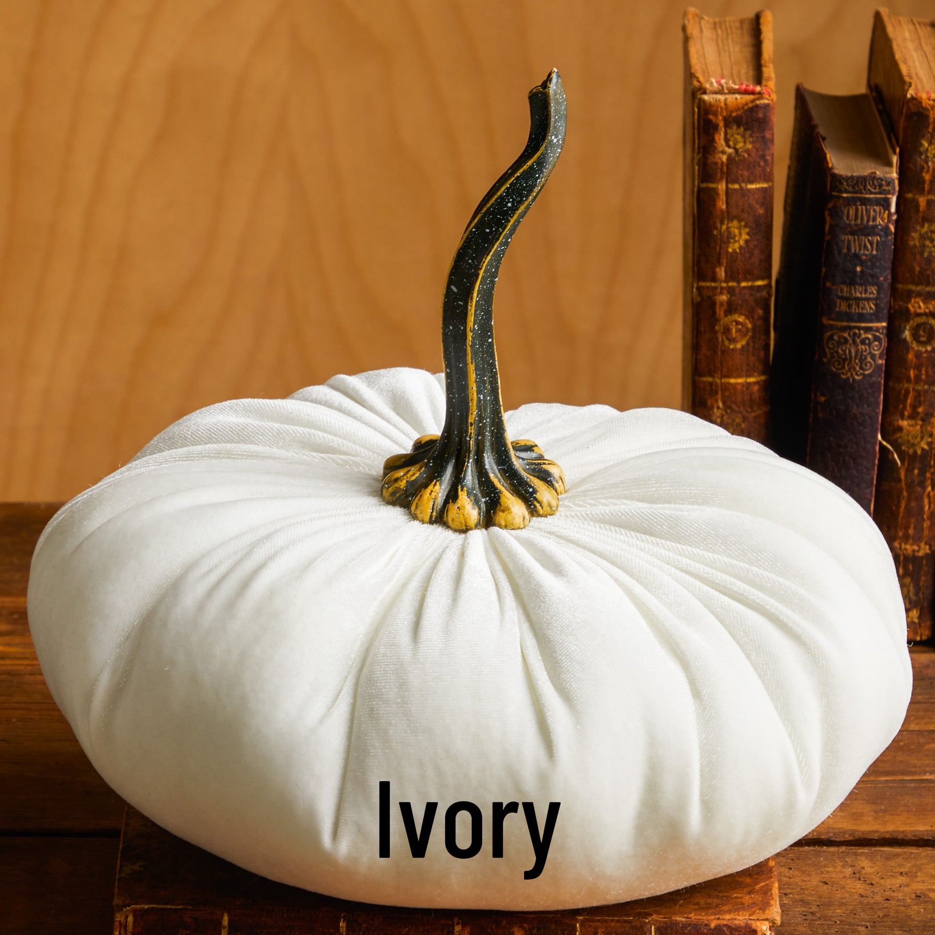 Ivory Velvet Pumpkin